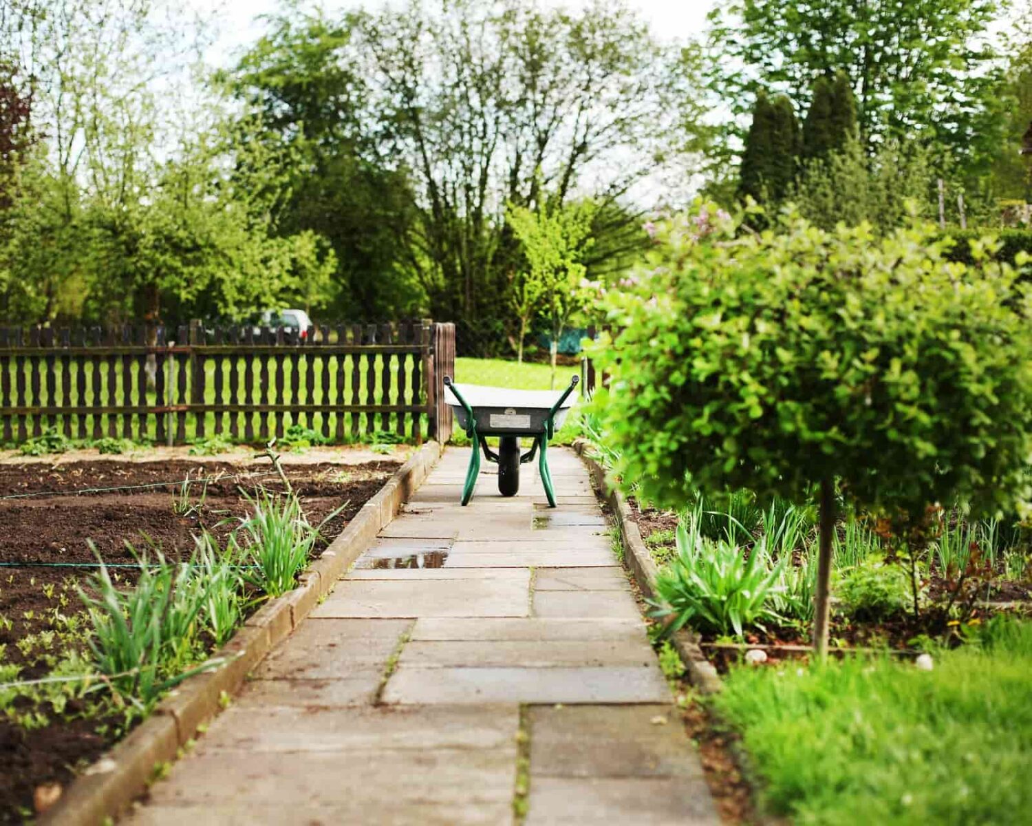 entrance-dmt-gardens-1920