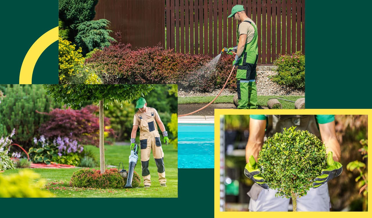 services-dmt-gardens